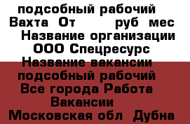 подсобный рабочий . Вахта. От 30 000 руб./мес. › Название организации ­ ООО Спецресурс › Название вакансии ­ подсобный рабочий - Все города Работа » Вакансии   . Московская обл.,Дубна г.